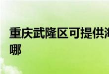 重庆武隆区可提供海尔微波炉维修服务地址在哪