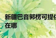 新疆巴音郭楞可提供联创微波炉维修服务地址在哪