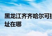 黑龙江齐齐哈尔可提供欧科微波炉维修服务地址在哪