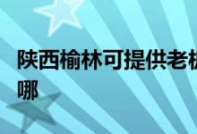 陕西榆林可提供老板抽油烟机维修服务地址在哪