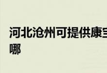 河北沧州可提供康宝抽油烟机维修服务地址在哪