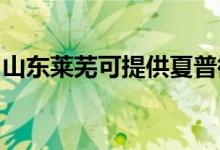 山东莱芜可提供夏普微波炉维修服务地址在哪