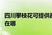 四川攀枝花可提供西门子微波炉维修服务地址在哪