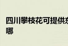 四川攀枝花可提供东菱微波炉维修服务地址在哪