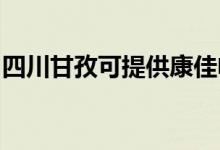 四川甘孜可提供康佳电磁炉维修服务地址在哪