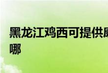 黑龙江鸡西可提供康佳电磁炉维修服务地址在哪