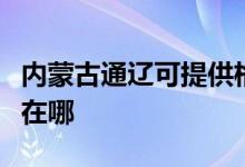 内蒙古通辽可提供格兰仕电磁炉维修服务地址在哪