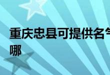 重庆忠县可提供名气抽油烟机维修服务地址在哪