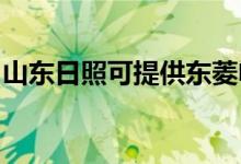 山东日照可提供东菱电磁炉维修服务地址在哪