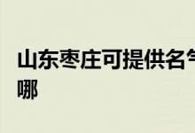 山东枣庄可提供名气抽油烟机维修服务地址在哪