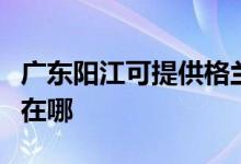 广东阳江可提供格兰仕抽油烟机维修服务地址在哪