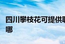 四川攀枝花可提供联创电磁炉维修服务地址在哪