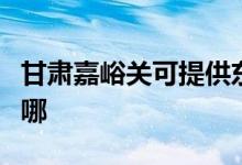 甘肃嘉峪关可提供东菱电磁炉维修服务地址在哪