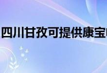 四川甘孜可提供康宝电磁炉维修服务地址在哪