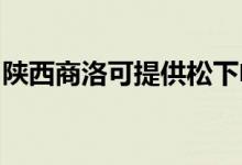 陕西商洛可提供松下电磁炉维修服务地址在哪