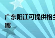 广东阳江可提供格兰仕电磁炉维修服务地址在哪