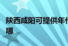 陕西咸阳可提供年代抽油烟机维修服务地址在哪