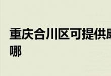 重庆合川区可提供康佳电磁炉维修服务地址在哪