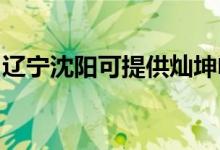 辽宁沈阳可提供灿坤电磁炉维修服务地址在哪