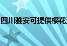 四川雅安可提供樱花消毒柜维修服务地址在哪