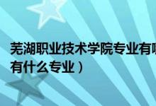 芜湖职业技术学院专业有哪些文科（2022芜湖财经工业学校有什么专业）