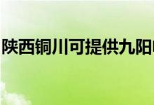 陕西铜川可提供九阳电饭煲维修服务地址在哪