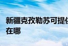 新疆克孜勒苏可提供博世消毒柜维修服务地址在哪