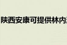 陕西安康可提供林内消毒柜维修服务地址在哪