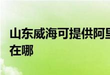 山东威海可提供阿里斯顿消毒柜维修服务地址在哪