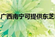 广西南宁可提供东芝电饭煲维修服务地址在哪