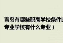 青岛有哪些职高学校条件比较好（2022青岛市供销职业中等专业学校有什么专业）