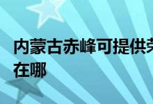 内蒙古赤峰可提供荣事达电饭煲维修服务地址在哪