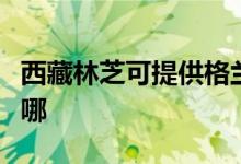 西藏林芝可提供格兰仕电饭煲维修服务地址在哪