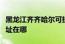 黑龙江齐齐哈尔可提供亿田消毒柜维修服务地址在哪