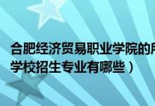 合肥经济贸易职业学院的所有专业（2022合肥经济贸易科技学校招生专业有哪些）