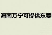 海南万宁可提供东菱电饭煲维修服务地址在哪