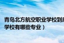 青岛北方航空职业学校到底好不好（2022青岛北方航空职业学校有哪些专业）