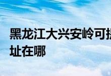 黑龙江大兴安岭可提供德意消毒柜维修服务地址在哪