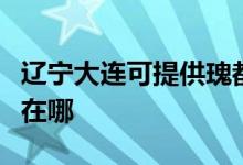 辽宁大连可提供瑰都啦咪壁挂炉维修服务地址在哪