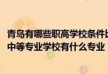 青岛有哪些职高学校条件比较好（2022青岛西海岸新区职业中等专业学校有什么专业）