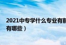 2021中专学什么专业有前途男生（2022中专适合男生专业有哪些）