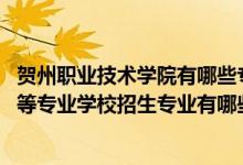 贺州职业技术学院有哪些专业（2022贺州市经济管理干部中等专业学校招生专业有哪些）