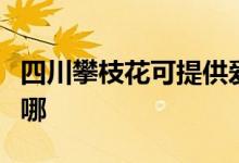 四川攀枝花可提供爱德电饭煲维修服务地址在哪