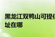 黑龙江双鸭山可提供格兰仕电饼铛维修服务地址在哪