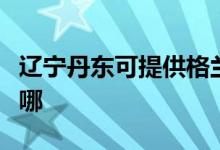 辽宁丹东可提供格兰仕电饼铛维修服务地址在哪