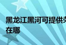 黑龙江黑河可提供荣事达电饼铛维修服务地址在哪