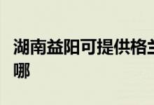 湖南益阳可提供格兰仕电饼铛维修服务地址在哪