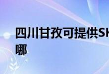 四川甘孜可提供SKG电饭煲维修服务地址在哪