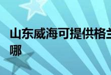 山东威海可提供格兰仕电饼铛维修服务地址在哪