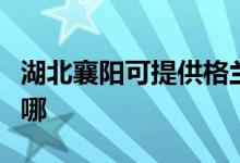 湖北襄阳可提供格兰仕电饼铛维修服务地址在哪